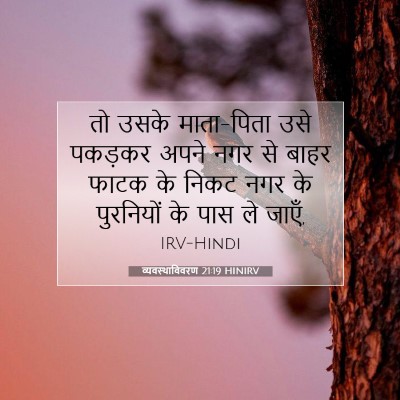 व्यवस्थाविवरण 21:19 HINIRV बाइबल आयत इमेज