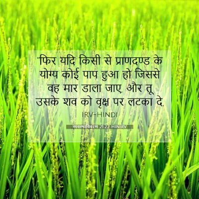 व्यवस्थाविवरण 21:22 HINIRV बाइबल आयत इमेज