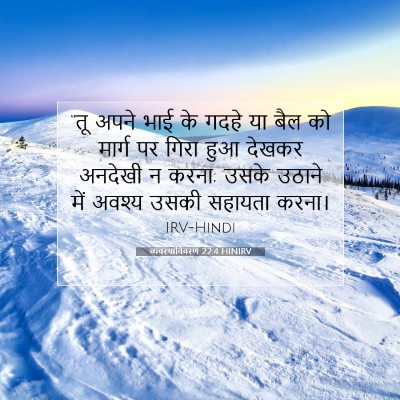 व्यवस्थाविवरण 22:4 HINIRV बाइबल आयत इमेज