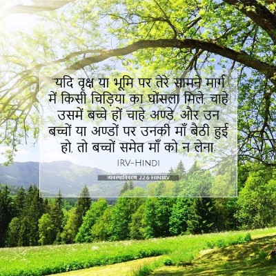 व्यवस्थाविवरण 22:6 HINIRV बाइबल आयत इमेज