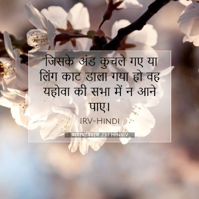 व्यवस्थाविवरण 23:1 HINIRV बाइबल आयत इमेज