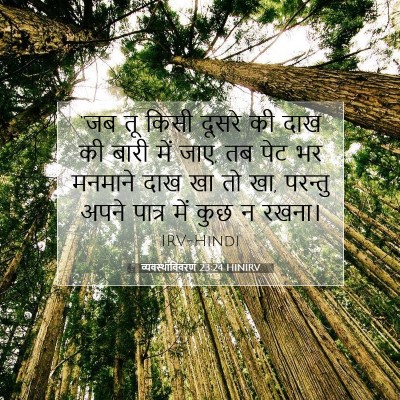 व्यवस्थाविवरण 23:24 बाइबल आयत की व्याख्या
