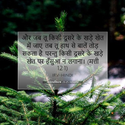 व्यवस्थाविवरण 23:25 HINIRV बाइबल आयत इमेज