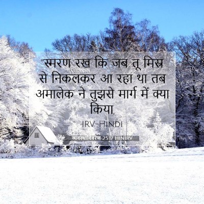 व्यवस्थाविवरण 25:17 HINIRV बाइबल आयत इमेज