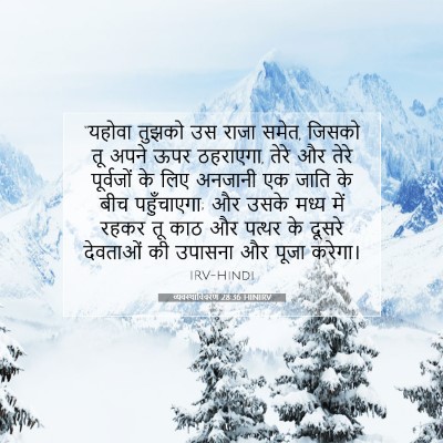 व्यवस्थाविवरण 28:36 HINIRV बाइबल आयत इमेज