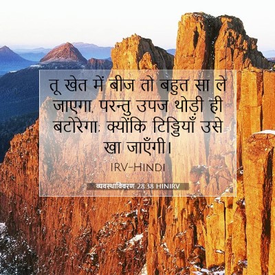 व्यवस्थाविवरण 28:38 HINIRV बाइबल आयत इमेज