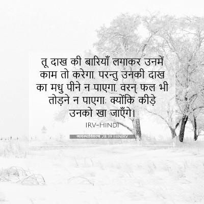 व्यवस्थाविवरण 28:39 HINIRV बाइबल आयत इमेज