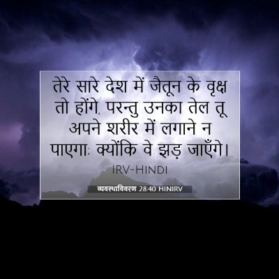 व्यवस्थाविवरण 28:40 HINIRV बाइबल आयत इमेज