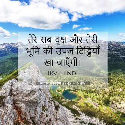 व्यवस्थाविवरण 28:42 HINIRV बाइबल आयत इमेज