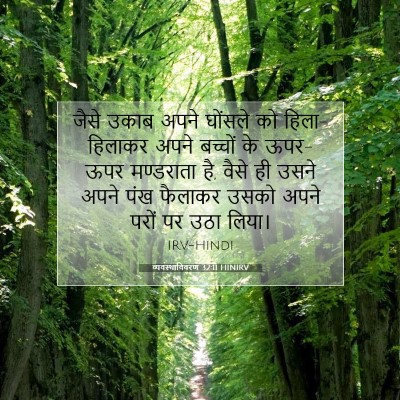 व्यवस्थाविवरण 32:11 HINIRV बाइबल आयत इमेज
