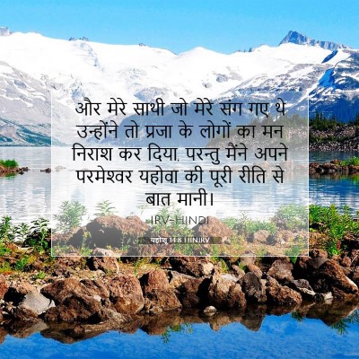 यहोशू 14:8 बाइबल आयत की व्याख्या