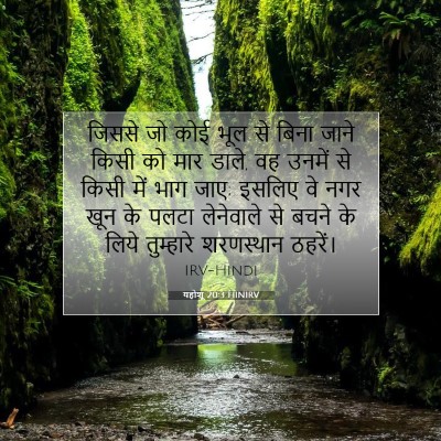 यहोशू 20:3 बाइबल आयत की व्याख्या