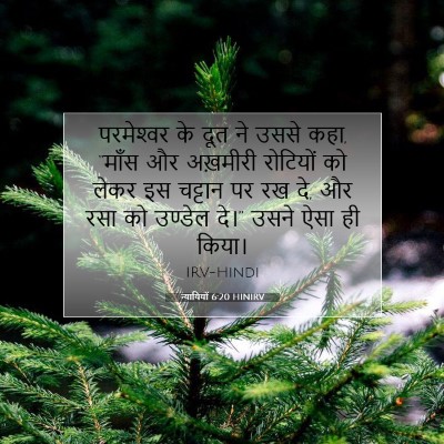न्यायियों 6:20 HINIRV बाइबल आयत इमेज