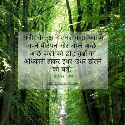 न्यायियों 9:11 बाइबल आयत की व्याख्या