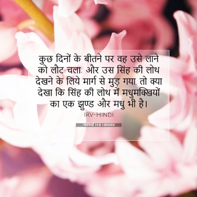 न्यायियों 14:8 HINIRV बाइबल आयत इमेज