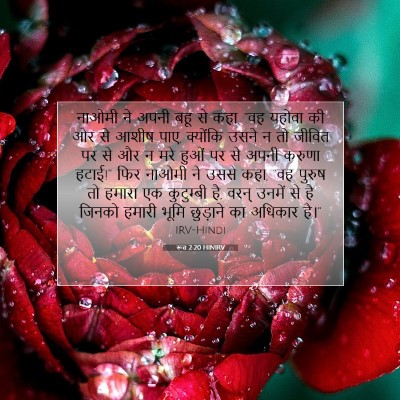 रूत 2:20 HINIRV बाइबल आयत इमेज