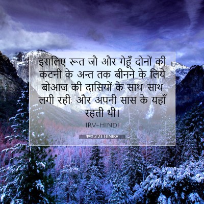 रूत 2:23 बाइबल आयत की व्याख्या