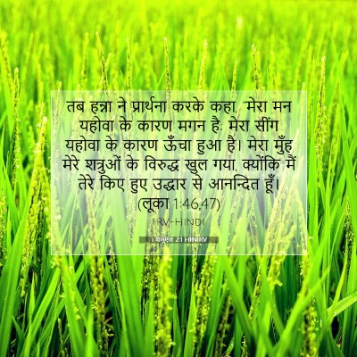 1 शमूएल 2:1 HINIRV बाइबल आयत इमेज