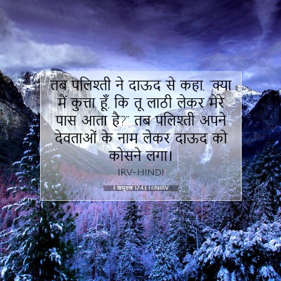 1 शमूएल 17:43 HINIRV बाइबल आयत इमेज