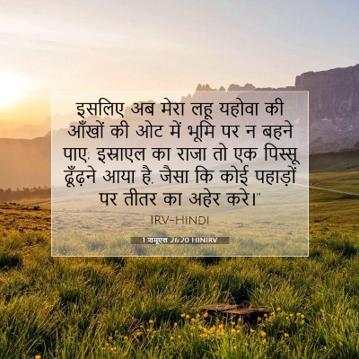 1 शमूएल 26:20 बाइबल आयत की व्याख्या