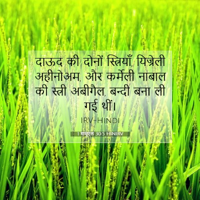 1 शमूएल 30:5 HINIRV बाइबल आयत इमेज