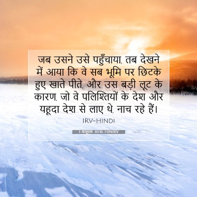 1 शमूएल 30:16 HINIRV बाइबल आयत इमेज