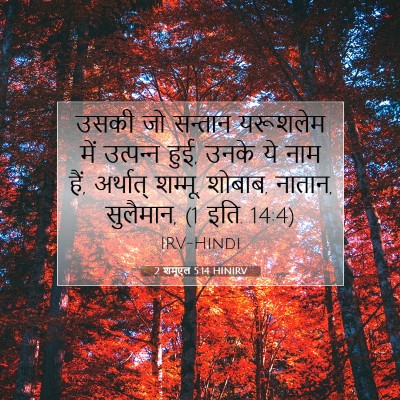 2 शमूएल 5:14 बाइबल आयत की व्याख्या