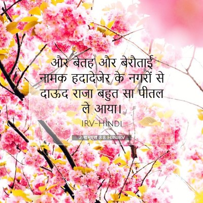 2 शमूएल 8:8 बाइबल आयत की व्याख्या