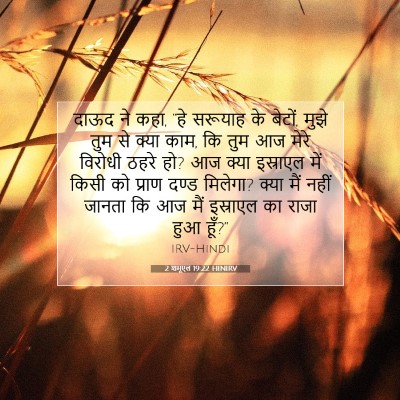 2 शमूएल 19:22 HINIRV बाइबल आयत इमेज