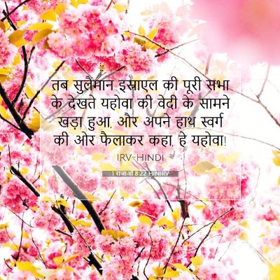 1 राजाओं 8:22 HINIRV बाइबल आयत इमेज