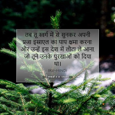 1 राजाओं 8:34 HINIRV बाइबल आयत इमेज
