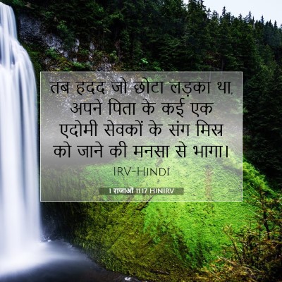 1 राजाओं 11:17 बाइबल आयत की व्याख्या