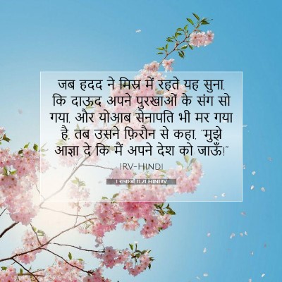 1 राजाओं 11:21 HINIRV बाइबल आयत इमेज