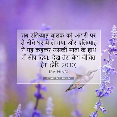 1 राजाओं 17:23 HINIRV बाइबल आयत इमेज