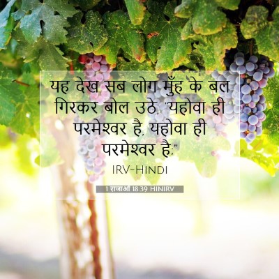 1 राजाओं 18:39 HINIRV बाइबल आयत इमेज