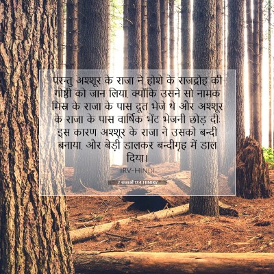 2 राजाओं 17:4 HINIRV बाइबल आयत इमेज