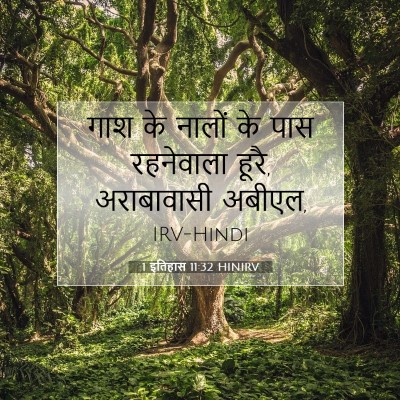1 इतिहास 11:32 HINIRV बाइबल आयत इमेज