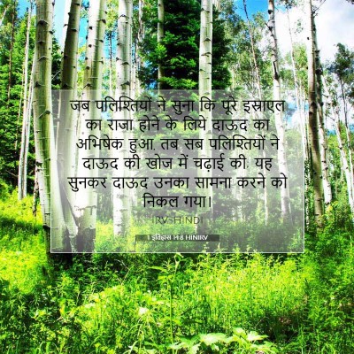 1 इतिहास 14:8 HINIRV बाइबल आयत इमेज