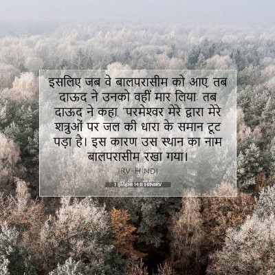 1 इतिहास 14:11 HINIRV बाइबल आयत इमेज