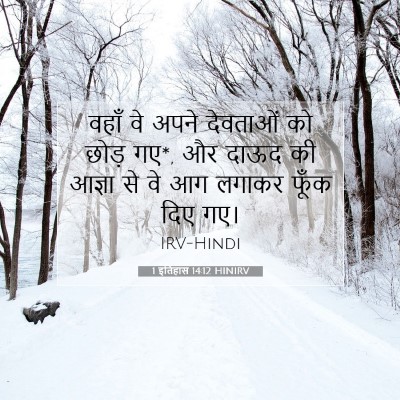 1 इतिहास 14:12 HINIRV बाइबल आयत इमेज