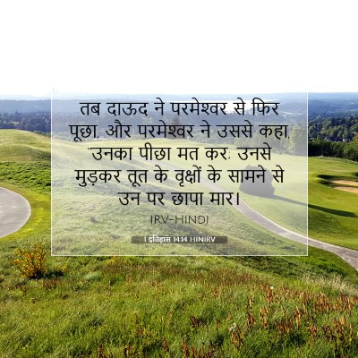 1 इतिहास 14:14 HINIRV बाइबल आयत इमेज
