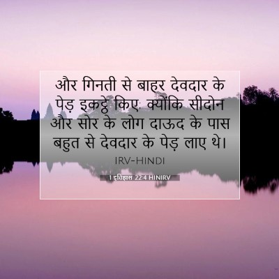 1 इतिहास 22:4 HINIRV बाइबल आयत इमेज