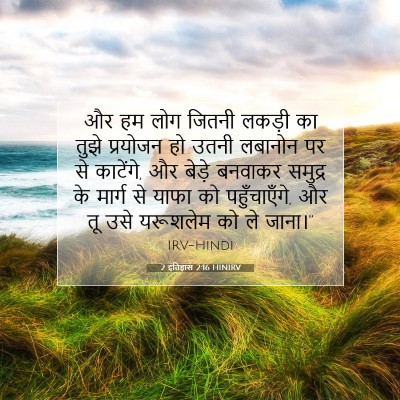 2 इतिहास 2:16 HINIRV बाइबल आयत इमेज