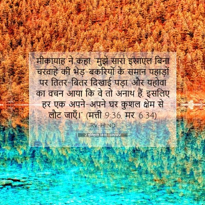2 इतिहास 18:16 HINIRV बाइबल आयत इमेज