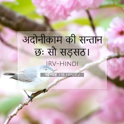 नहेम्याह 7:18 बाइबल आयत की व्याख्या