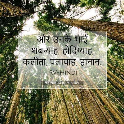नहेम्याह 10:10 HINIRV बाइबल आयत इमेज