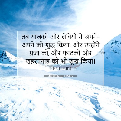 नहेम्याह 12:30 HINIRV बाइबल आयत इमेज