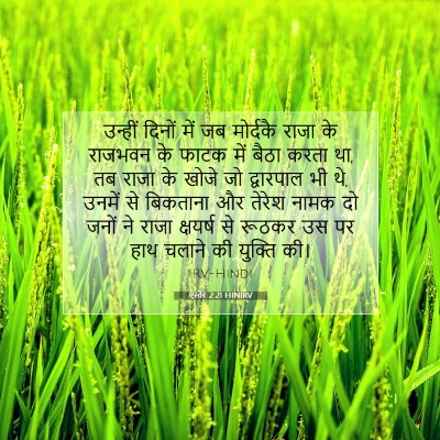 एस्तेर 2:21 HINIRV बाइबल आयत इमेज