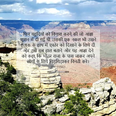 एस्तेर 4:8 HINIRV बाइबल आयत इमेज