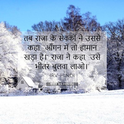 एस्तेर 6:5 बाइबल आयत की व्याख्या
